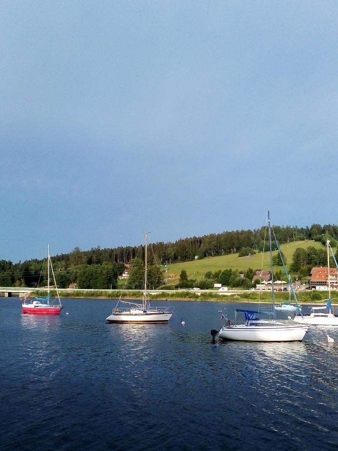 Apartman U Lipna, Pro Cyklisty, Motorkare Frymburk Kültér fotó
