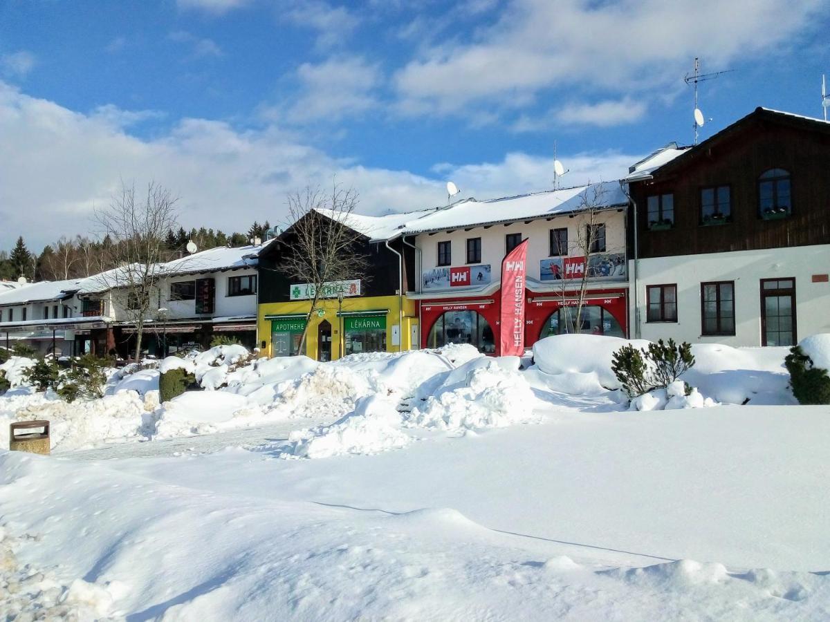 Apartman U Lipna, Pro Cyklisty, Motorkare Frymburk Kültér fotó