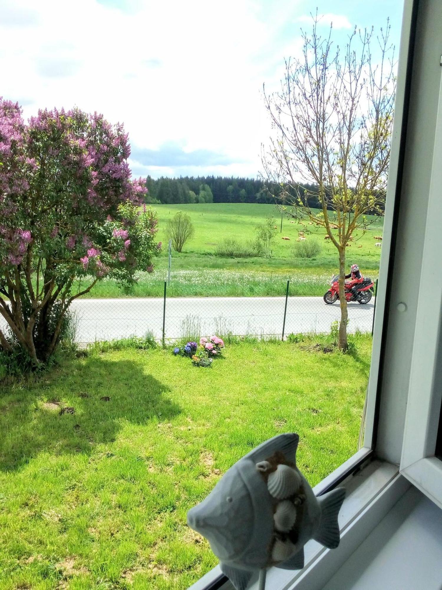 Apartman U Lipna, Pro Cyklisty, Motorkare Frymburk Kültér fotó